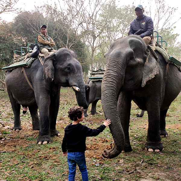 Elephant Safari