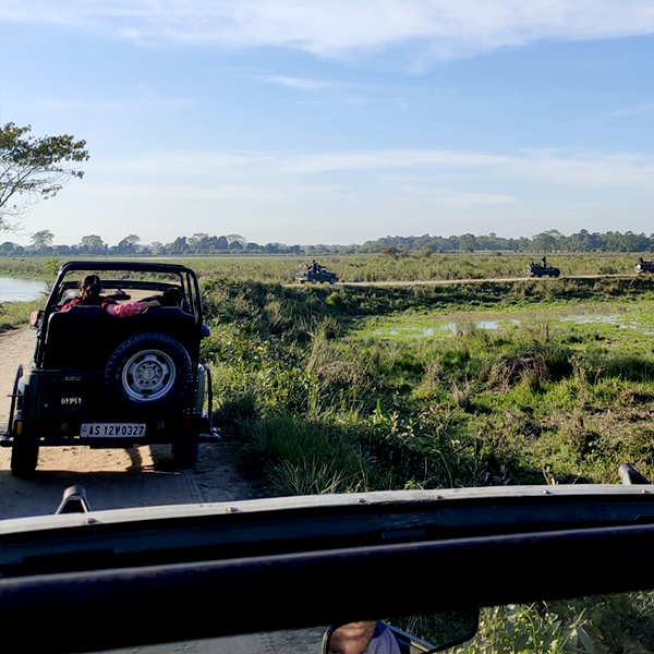 Jeep Safari