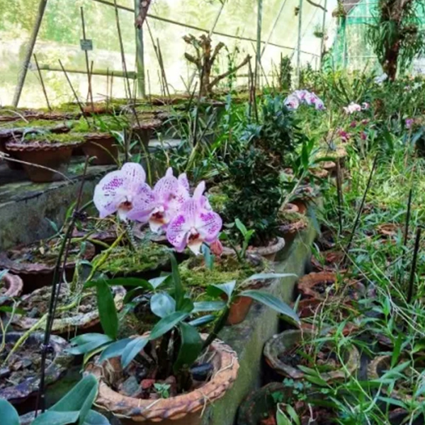 Orchid Biodiversity Park